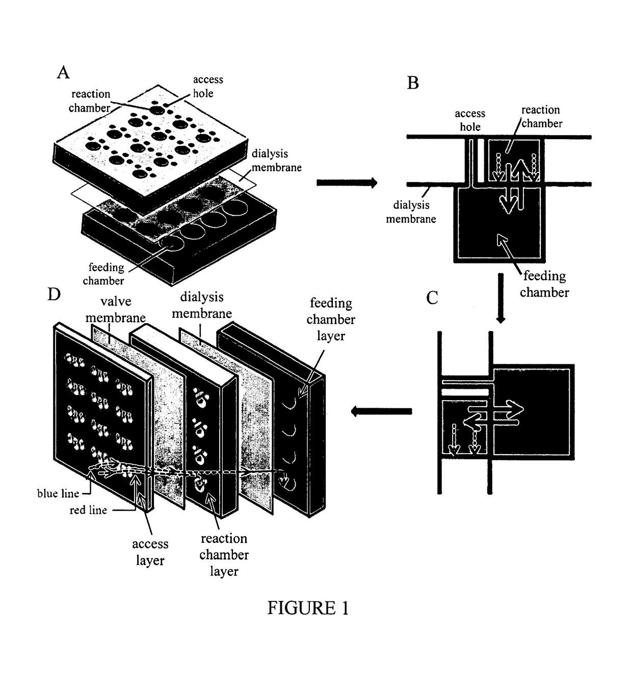 Apparatuses and methods for high-throughput protein synthesis