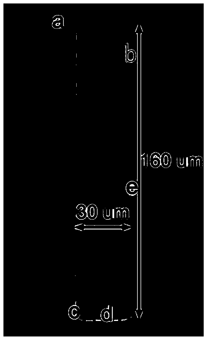 Method for preparing micro intercommunicated hole structure transmission electron microscope sample