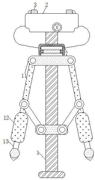 High-stability photographing device for geographic mapping