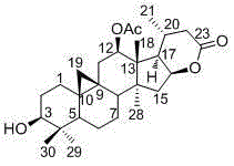 Cycloartane type triterpene compound and application thereof