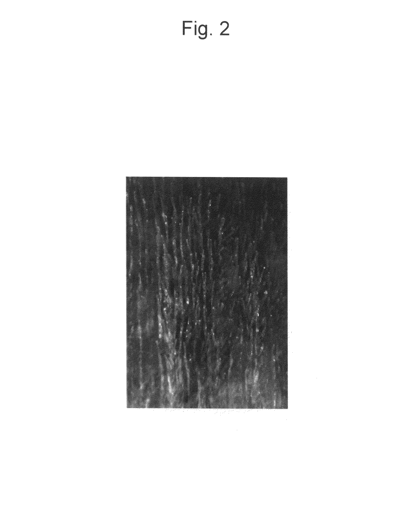 Noninvasive measuring device for substance in blood via nail and a nail evaporation device