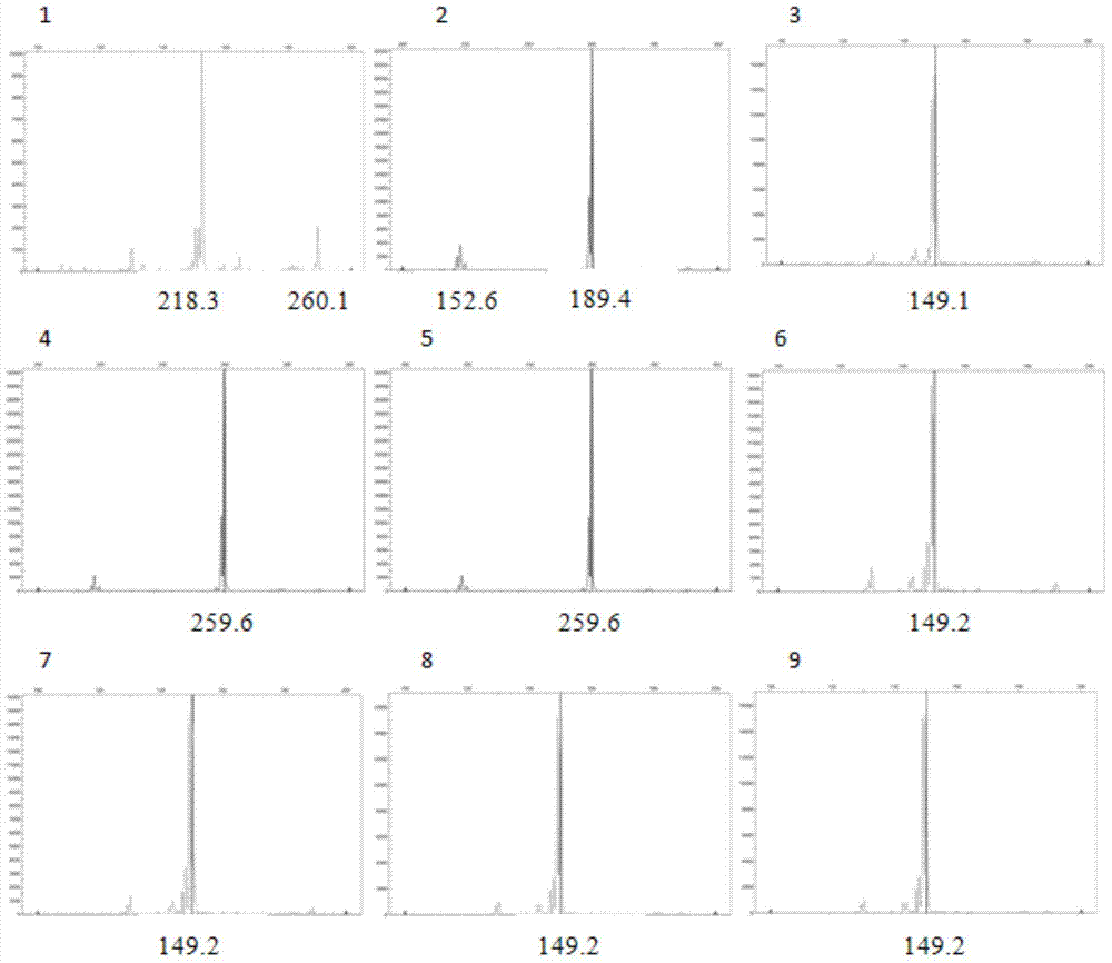 Nibea japonica microsatellite DNA markers