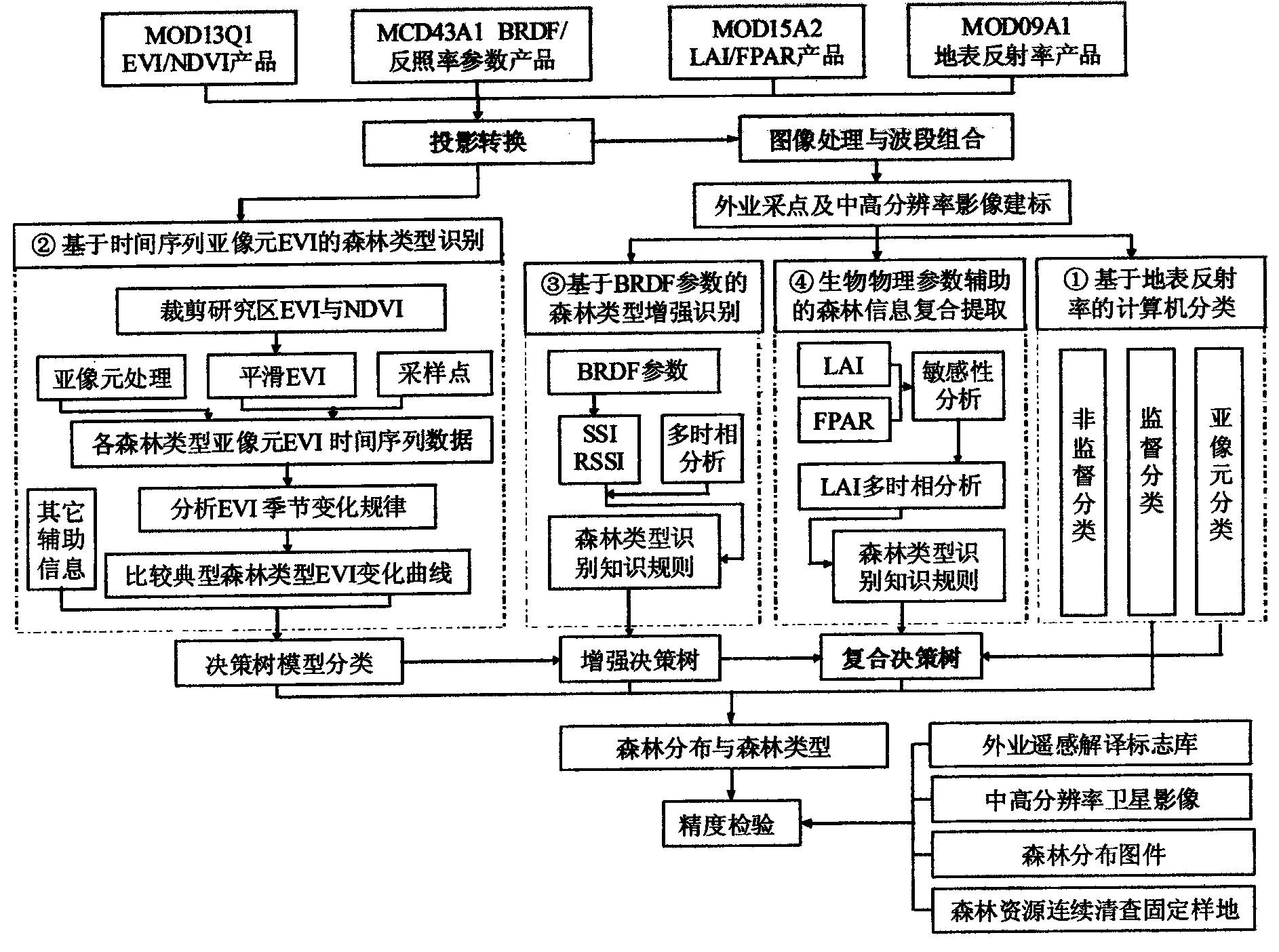 Method for MODIS bio-physical parameter forest information extraction