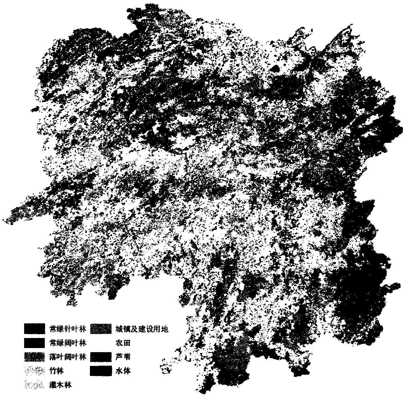 Method for MODIS bio-physical parameter forest information extraction