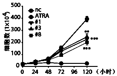 Application of cdk2 gene in preparation of medicine for inducing differentiation therapy of leukemia