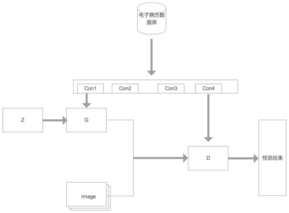 Bone age detection method based on multi-modal adversarial training