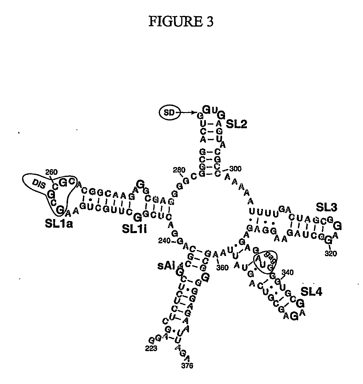 Switchable nucleic acids for diagnostics, screening and molecular electronics