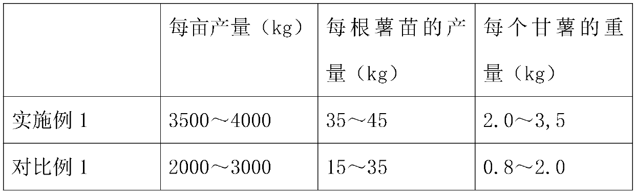 Sweet potato plantation method