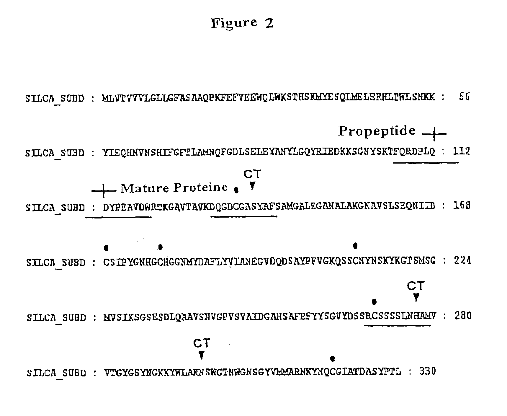 Silicatein-mediated synthesis of amorphous silicates and siloxanes and use thereof