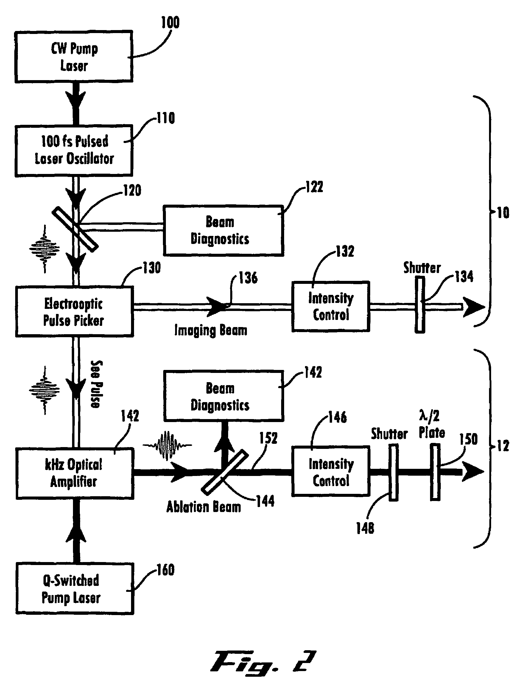 Device and method for inducing vascular injury and/or blockage in an animal model