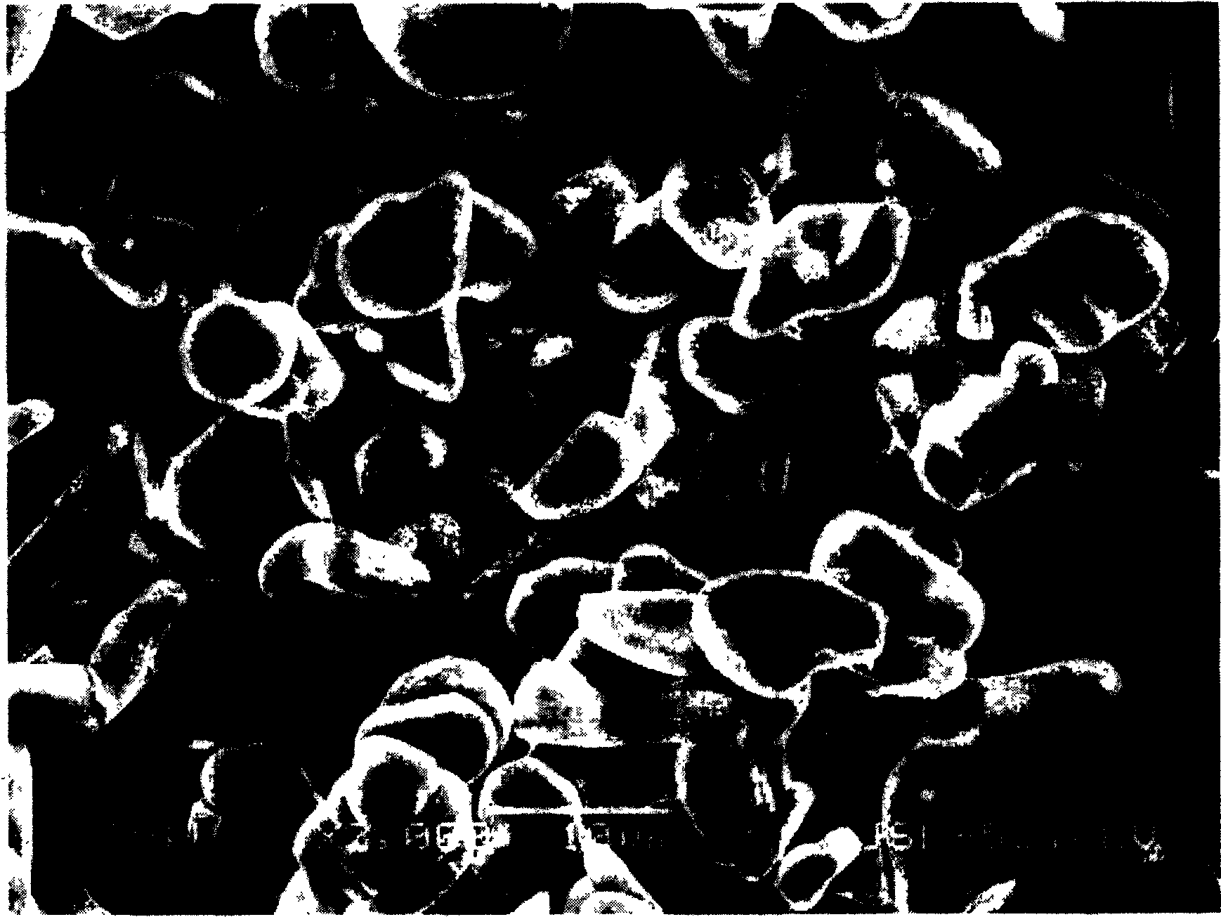 Anode material of lithium ion cell and preparation method