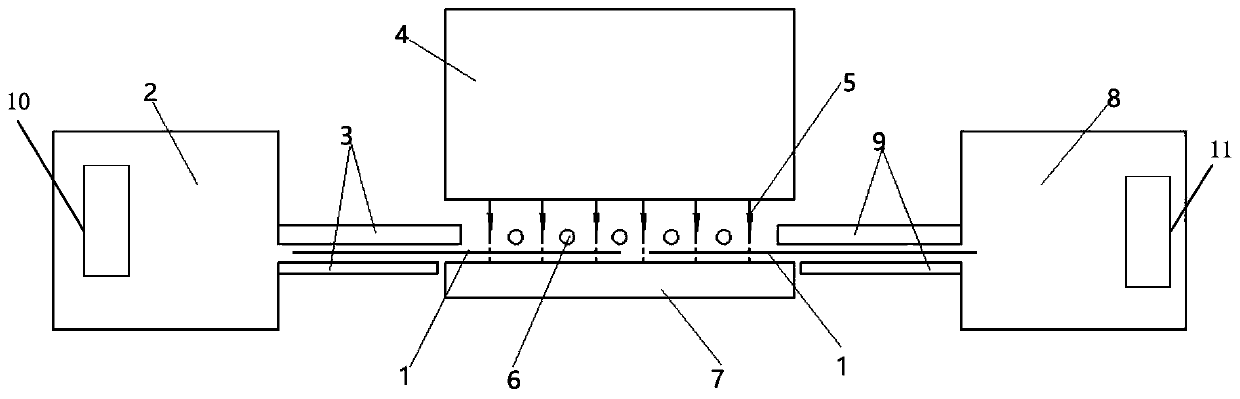 Paper money disinfection and sterilization device and application method thereof