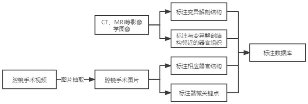 A method and system for identifying and prompting anatomical variation based on artificial intelligence