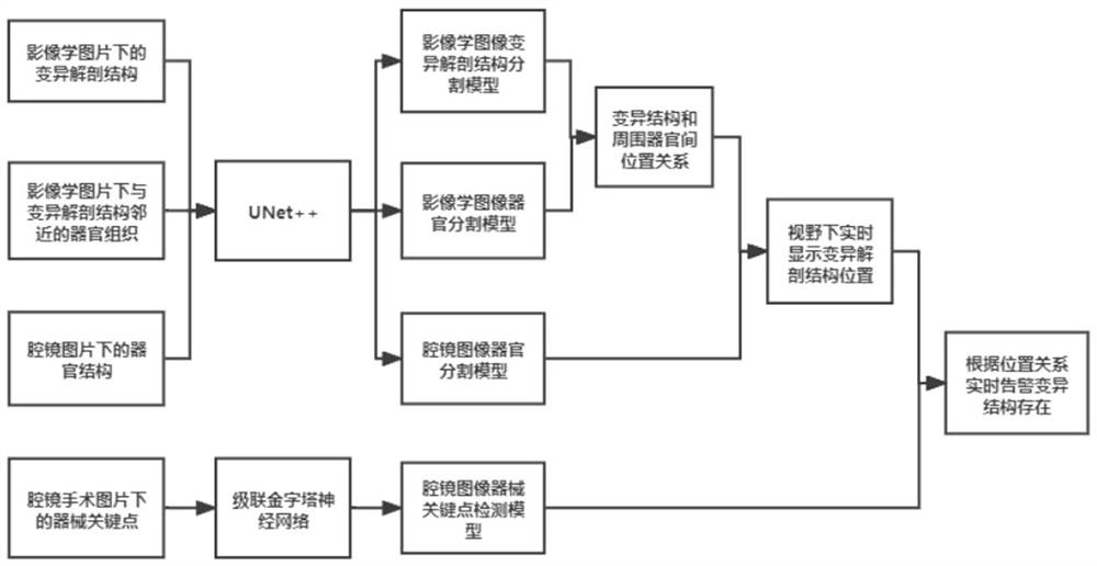 A method and system for identifying and prompting anatomical variation based on artificial intelligence