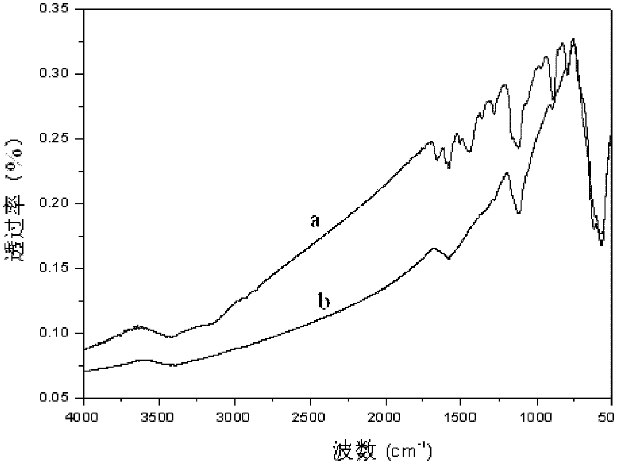 Magnetic bidentate imide palladium ligand catalyst and preparation method thereof