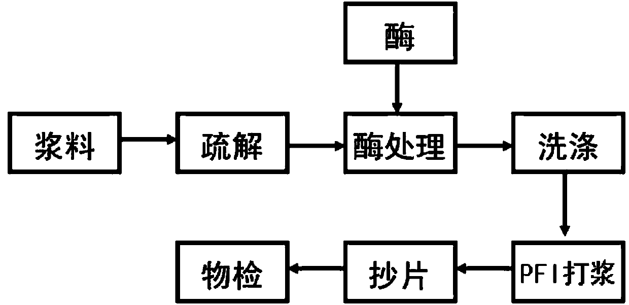 Enzymatic beating process for natural-color bagasse pulp