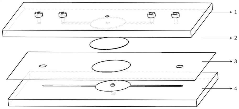 Barrier-stem cell homing bionic micro-fluidic chip and application thereof