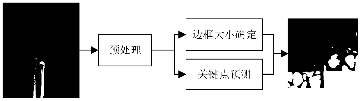 CHN method region of interest extraction method based on shape information and convolutional neural network