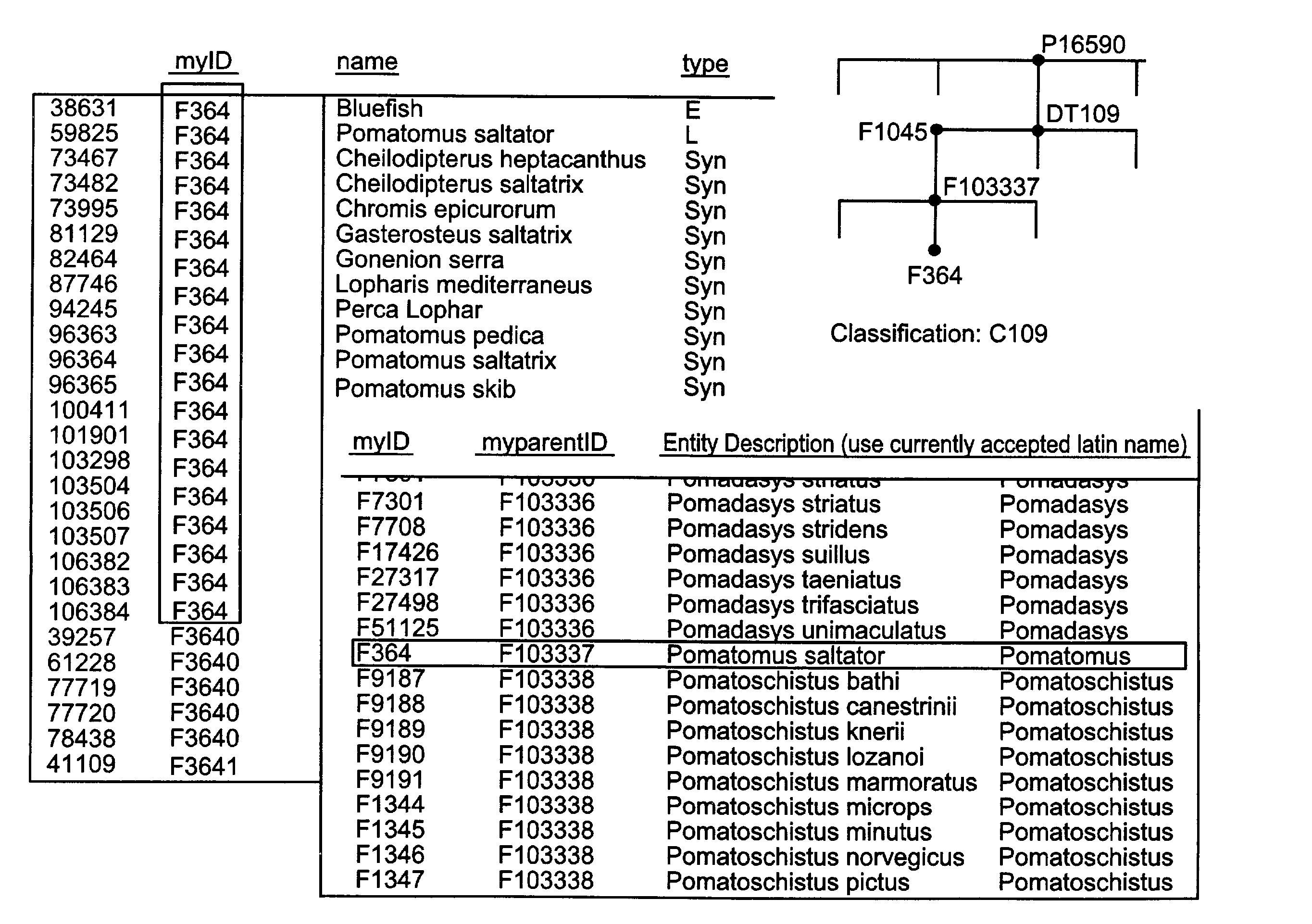 Managing taxonomic information