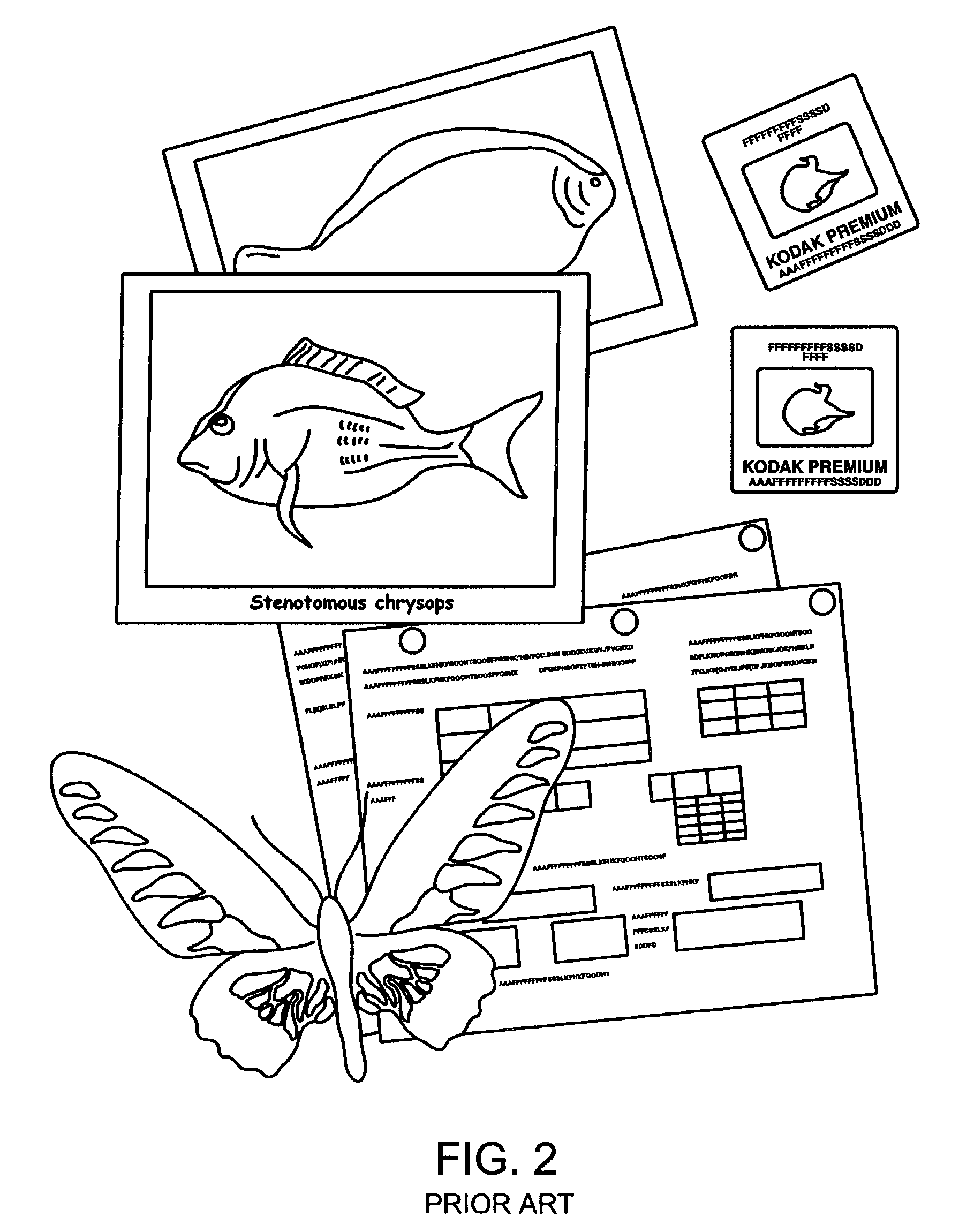 Managing taxonomic information