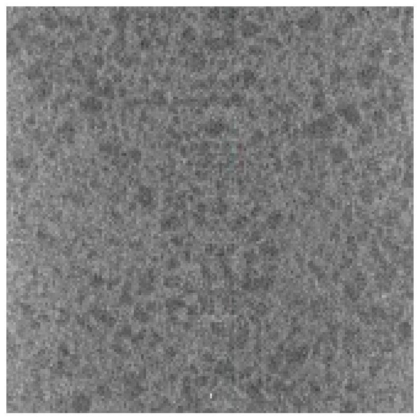 Paraffin/boron carbide neutron protection composite material and preparation method thereof