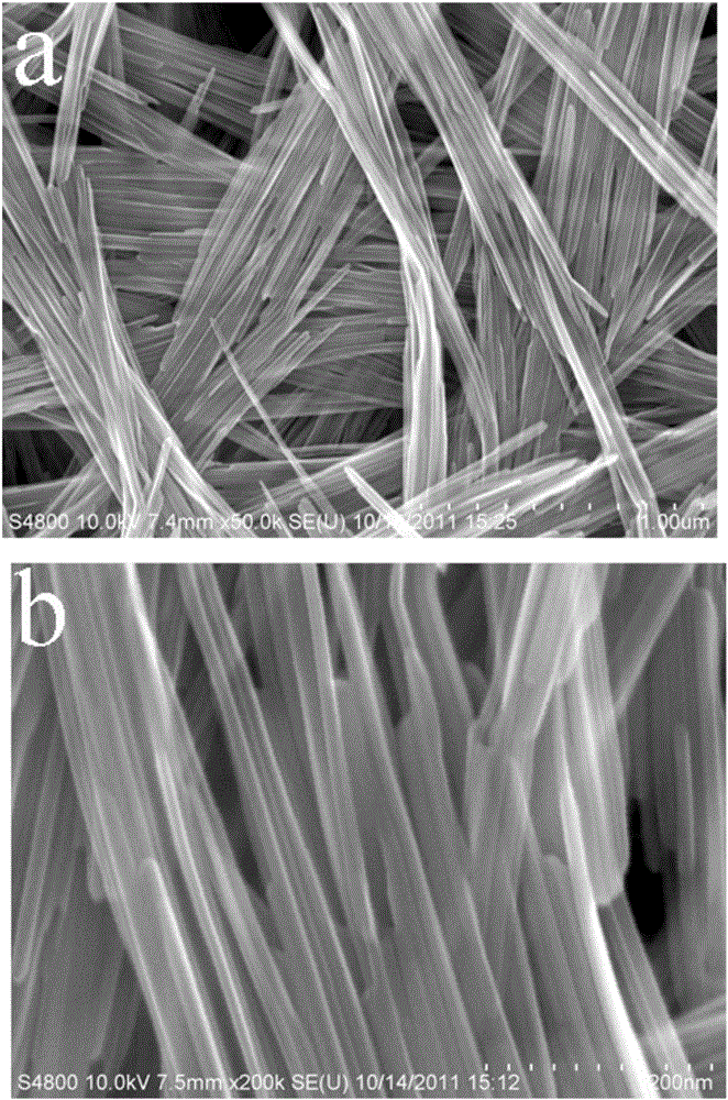 Self-supporting flexible composite electrode film, preparation method and application thereof