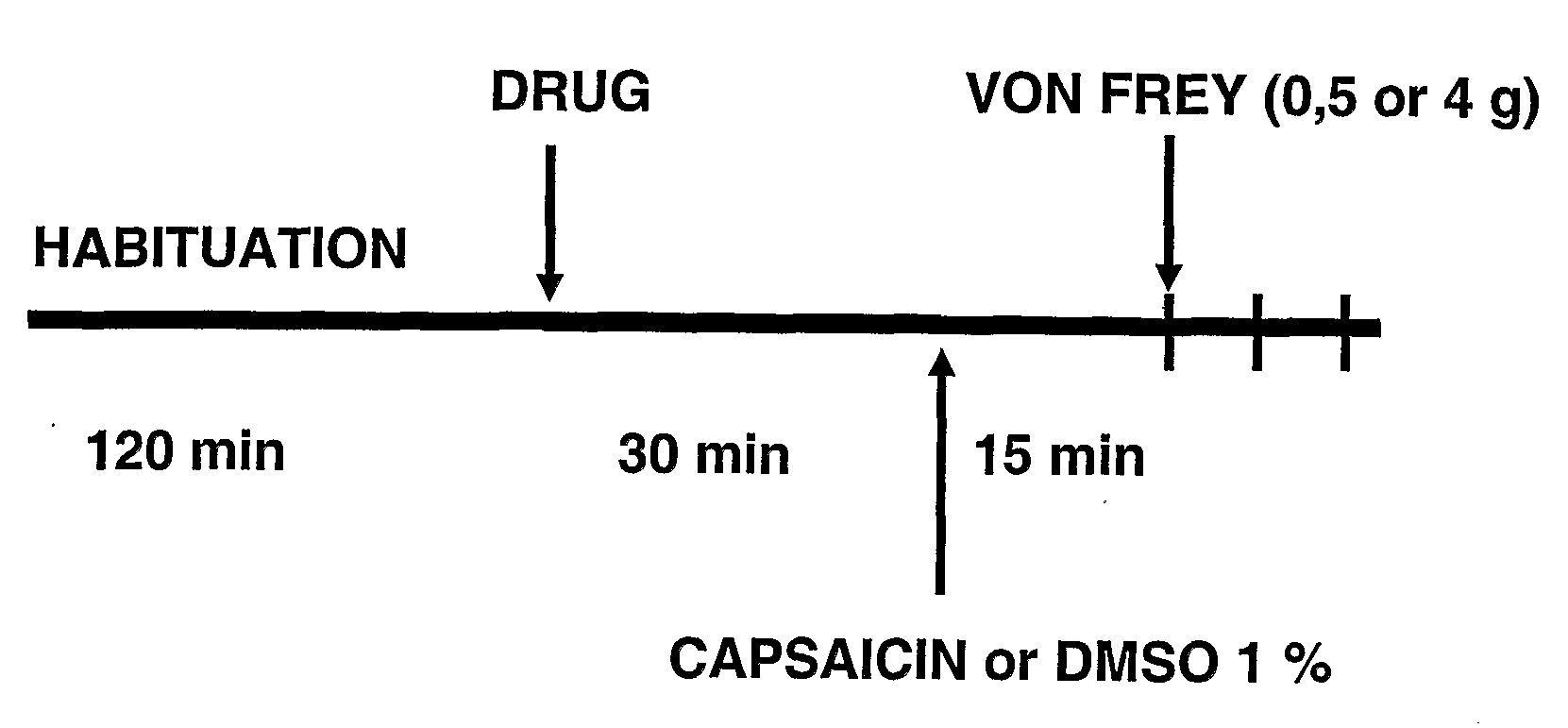 Use of compounds active on the sigma receptor for the treatment of mecanical allodynia