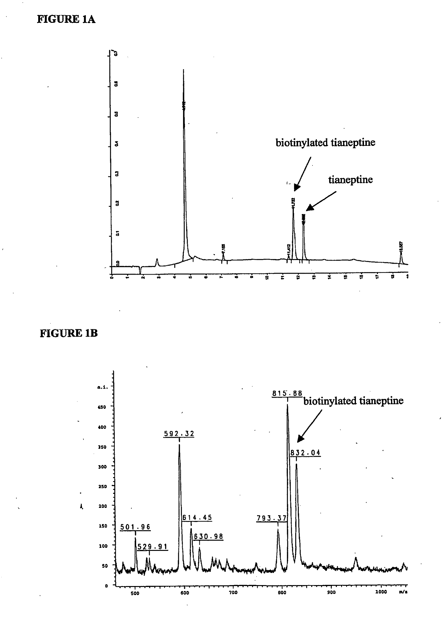 Novel uses for drugs targeting glutamine synthetase