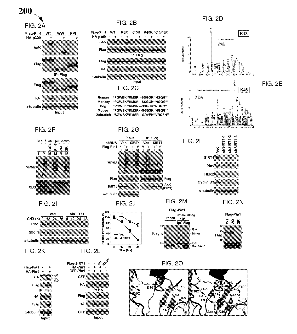 Biomarkers for Pin1-associated disorders