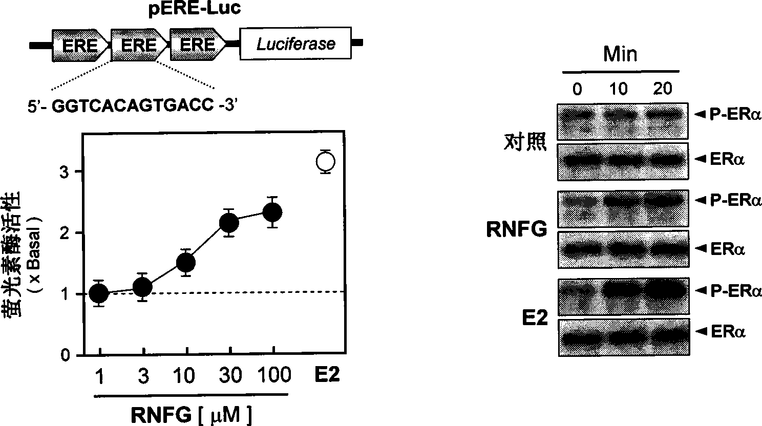 Medicine for preventing and treating Alzheimer's disease and preparing method thereof