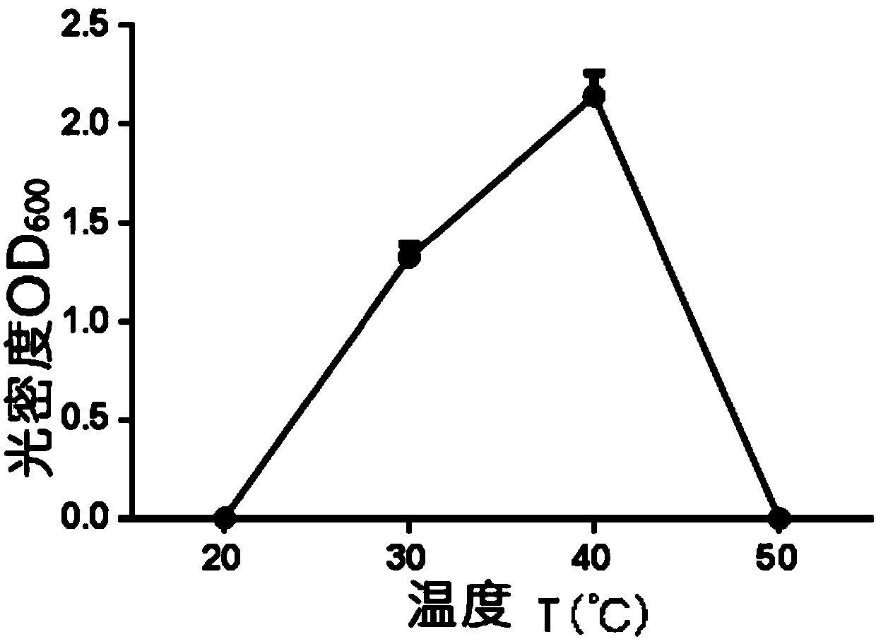 Citrobacter sp. strain and application thereof