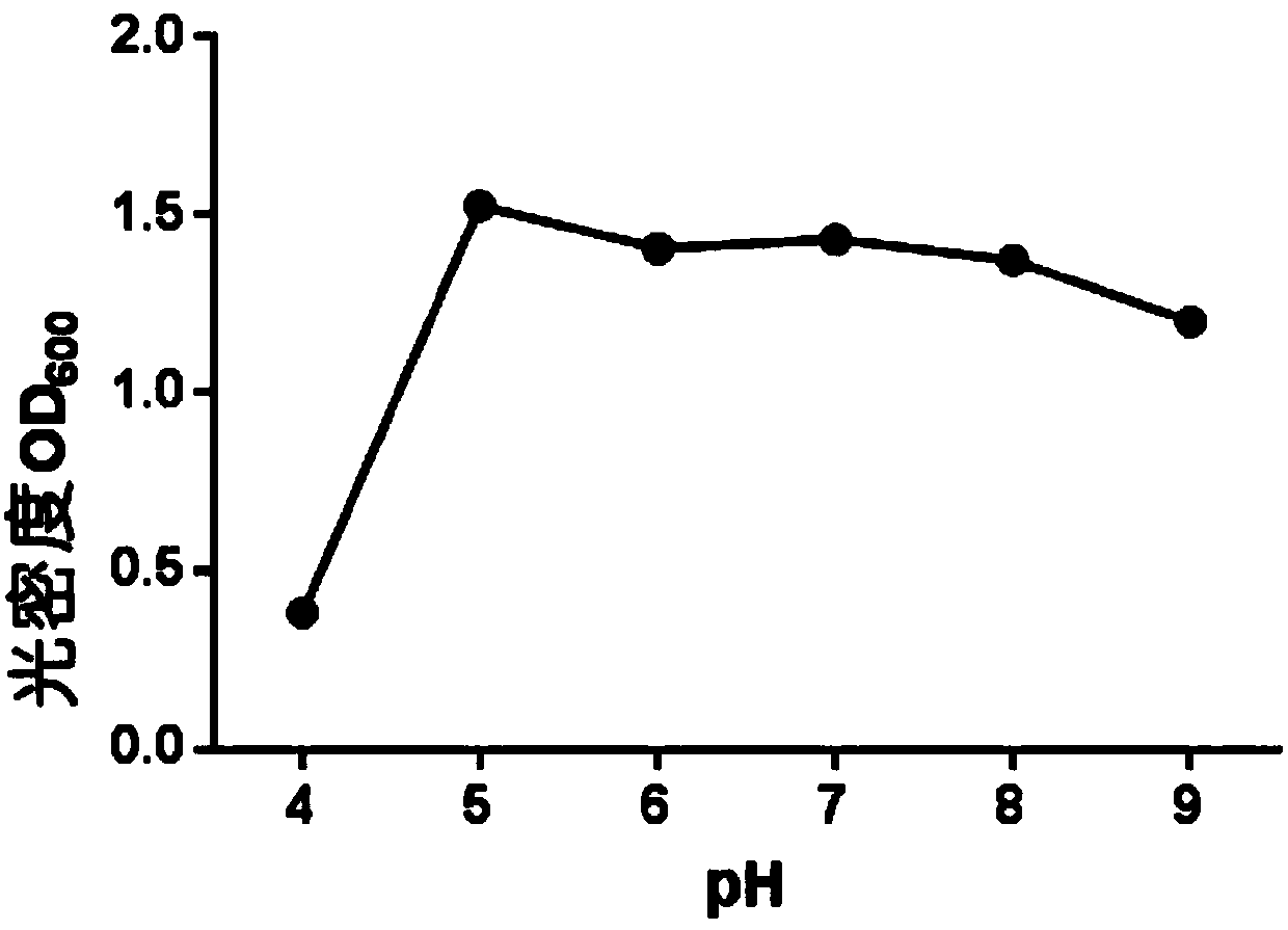 Citrobacter sp. strain and application thereof