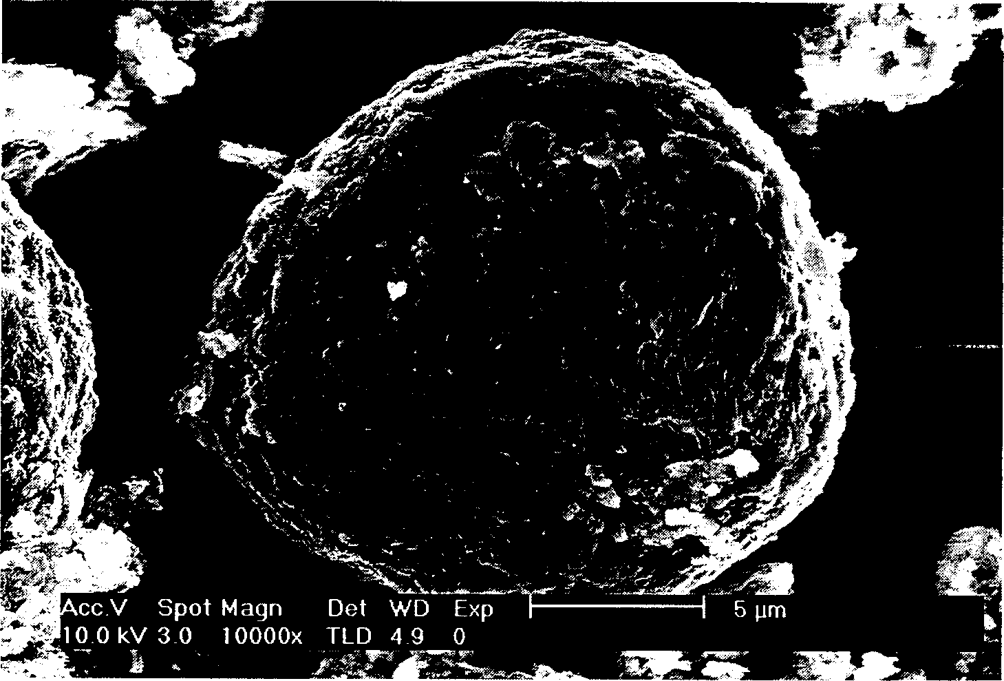 Carbon-silicon composite material with spherical nucleocapsid, and its preparing method and use