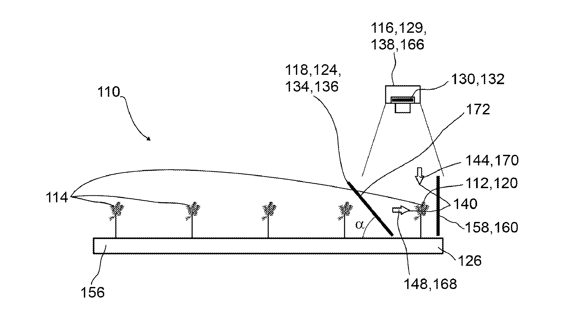 Screening device for screening plant specimens