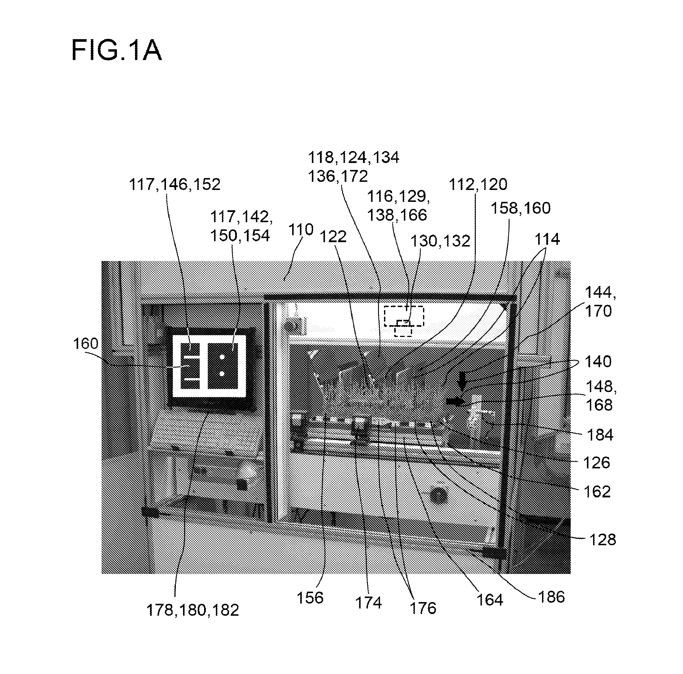 Screening device for screening plant specimens