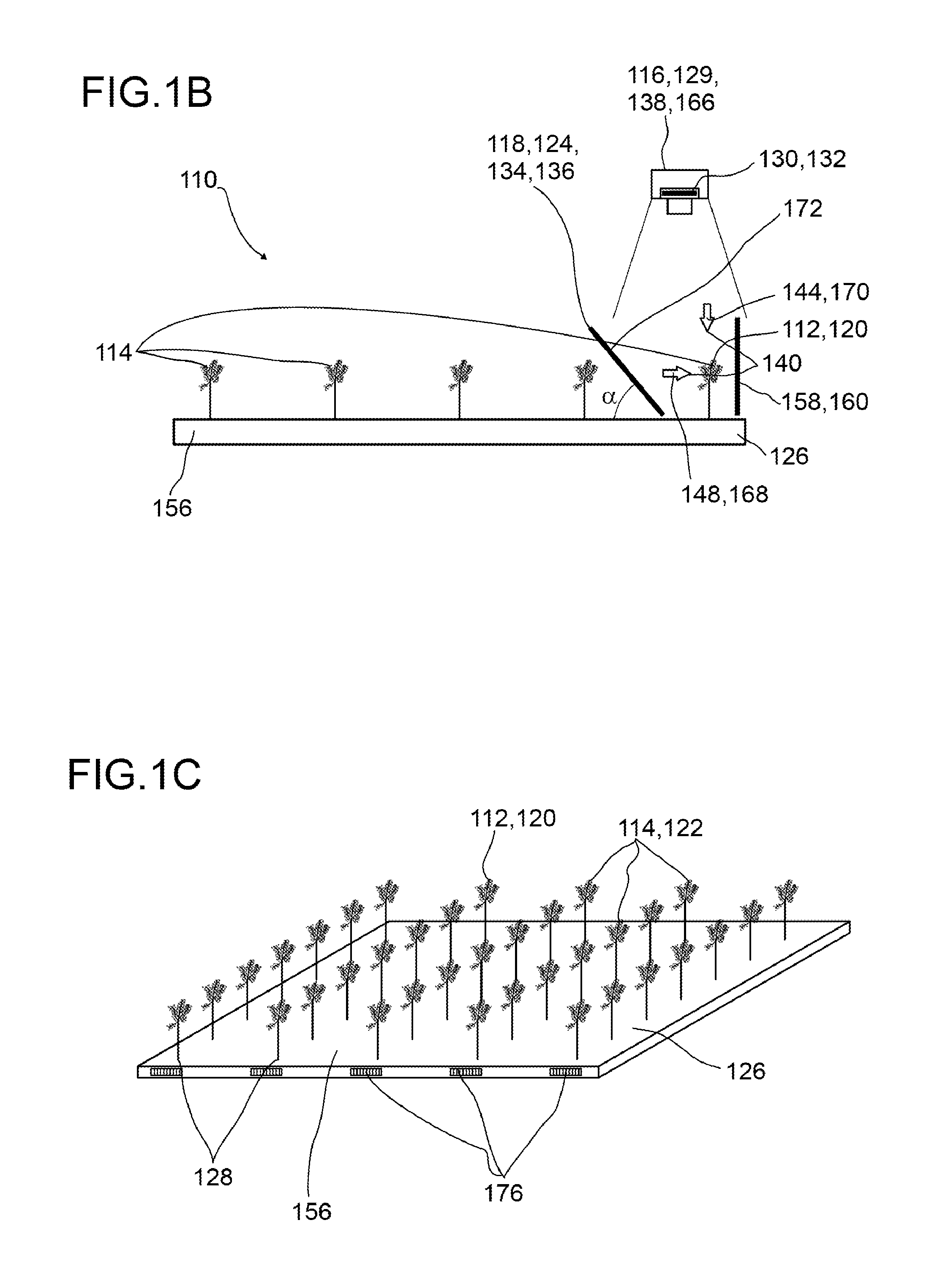 Screening device for screening plant specimens