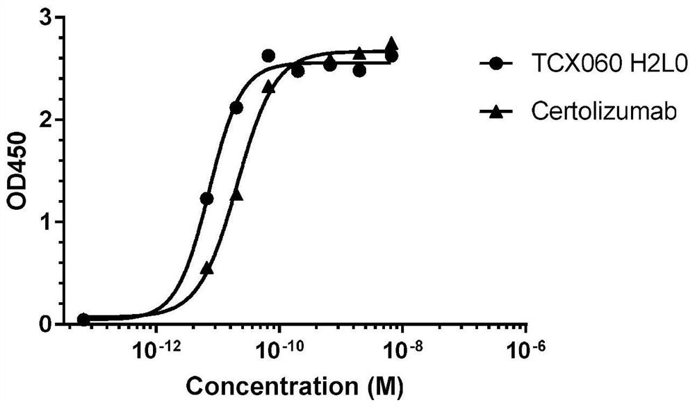 Anti-TNF-alpha humanized monoclonal antibody TCX060 having low immunogenicity and low ADCC/CDC function and application of anti-TNF-alpha humanized monoclonal antibody TCX060