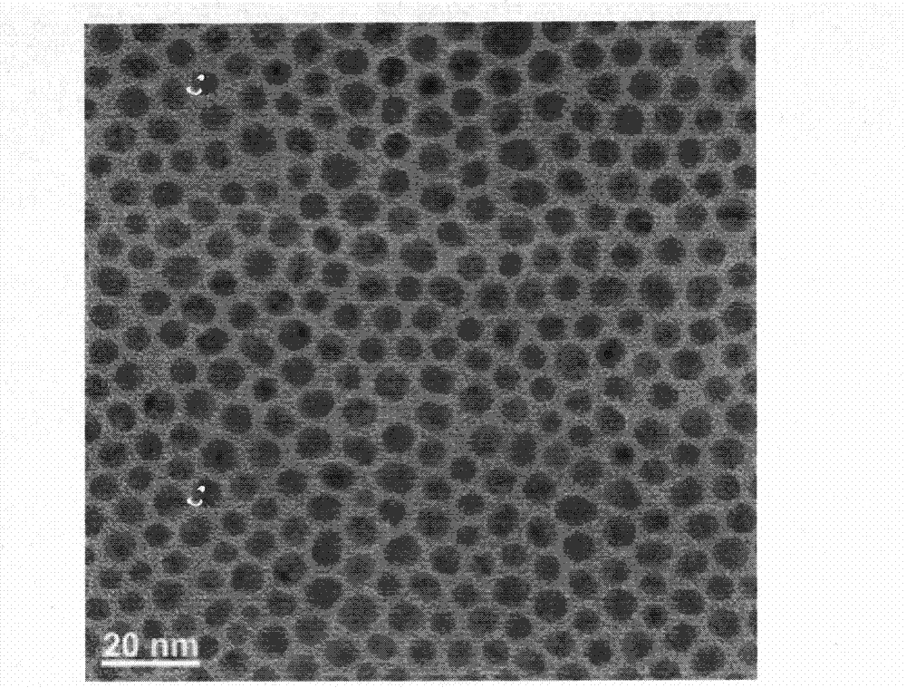 Preparation method of colloid of mono-dispersed silver nano particles and nano silver powder and conductive ink thereof