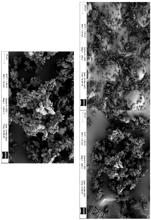 Bio-based soft porcelain and preparation method thereof