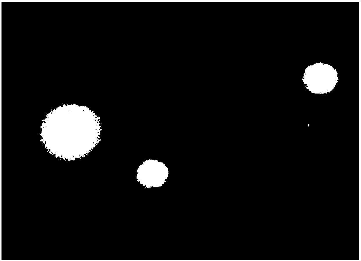 High temperature-resistant bacterium for promoting ammonia assimilation function in sludge composting process