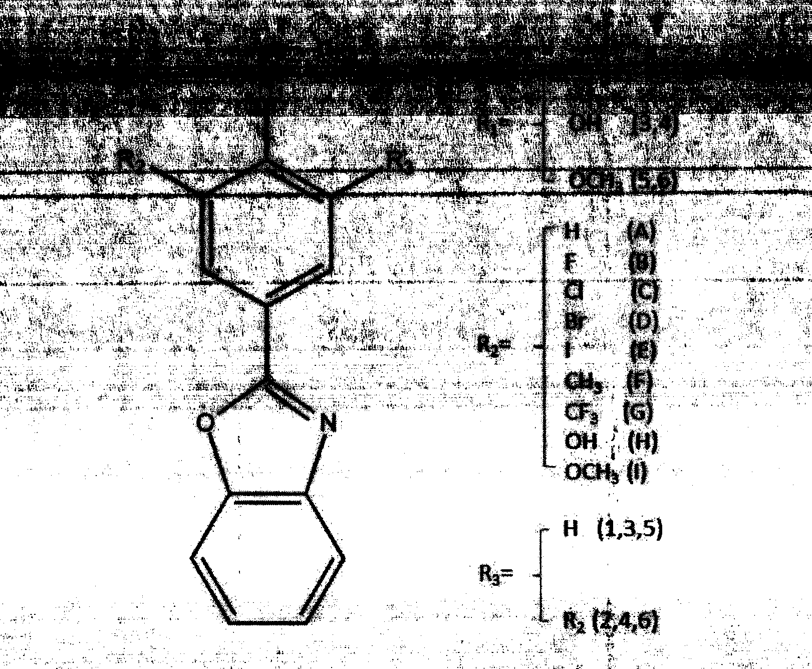 Screening method of TTR (transthyretin) small-molecule inhibitors