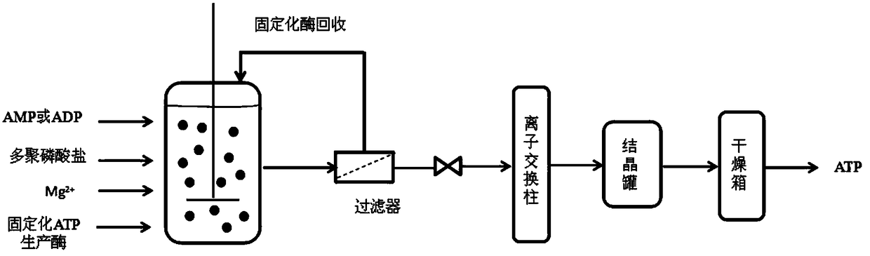 Method for preparing adenosine triphosphate by immobilized enzyme method