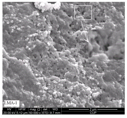 Alumina carrier with composite pore structure and preparation method thereof