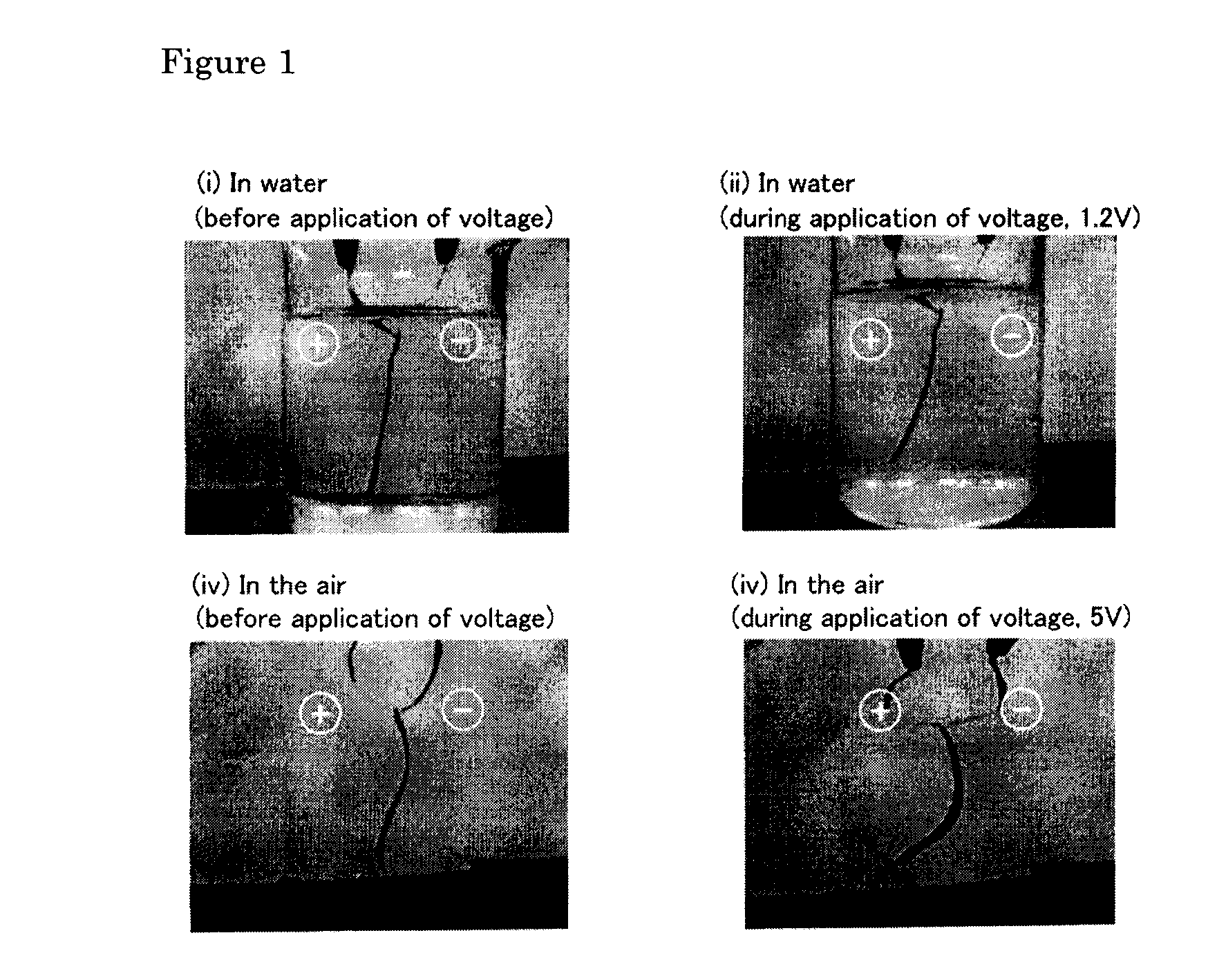 Polymer electrochemical device