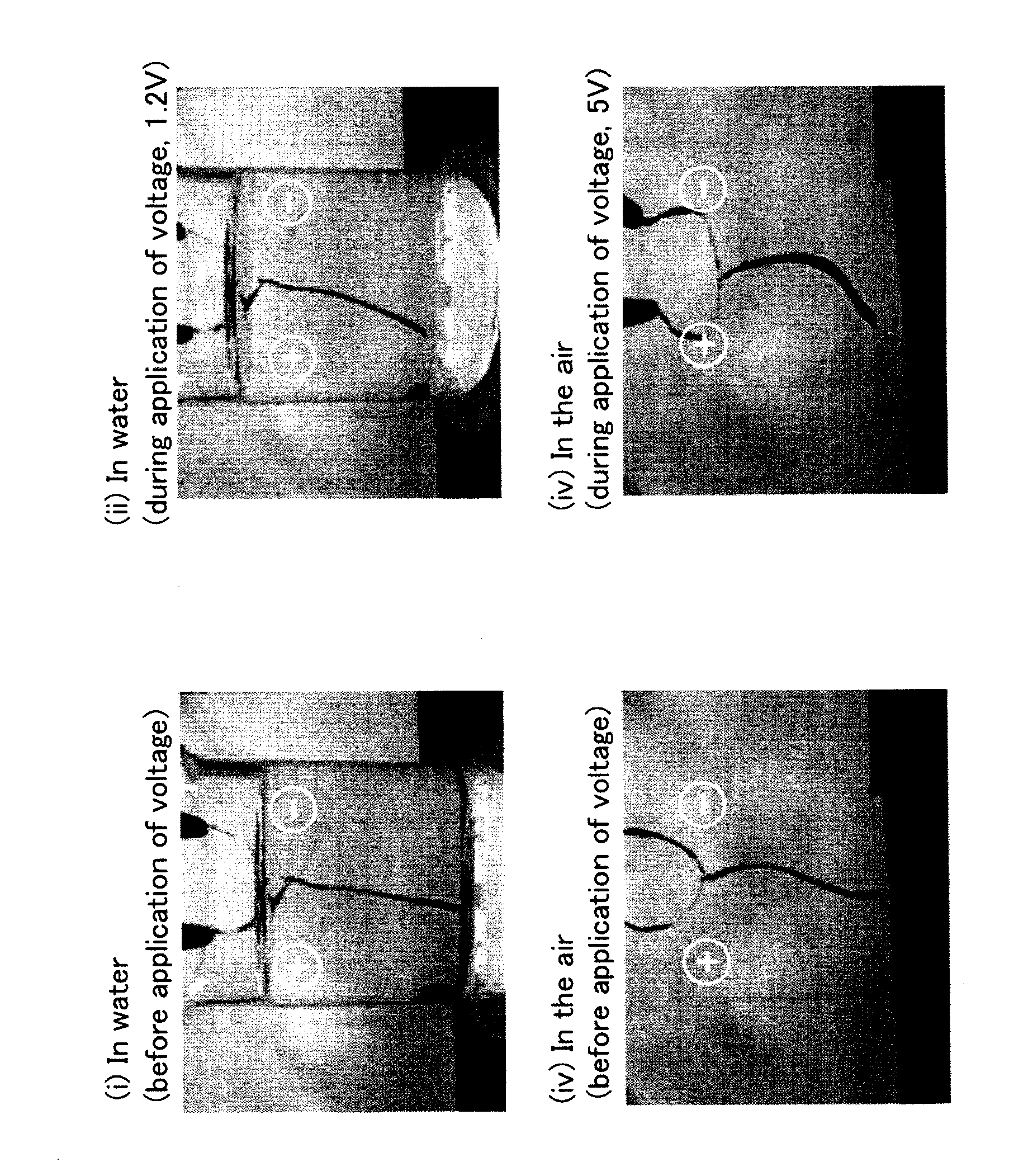 Polymer electrochemical device