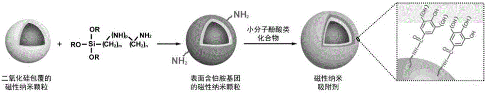 Hexavalent chromium-wastewater treatment method integrating 'reduction, adsorption and magnetic removal'