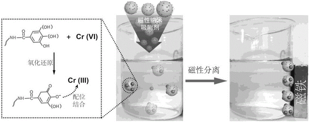 Hexavalent chromium-wastewater treatment method integrating 'reduction, adsorption and magnetic removal'