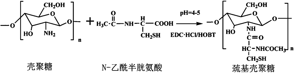 Photocrosslinked thiolated chitosan-polyethylene glycol methacrylate hydrogel used for tissue adhesive, and preparation method thereof