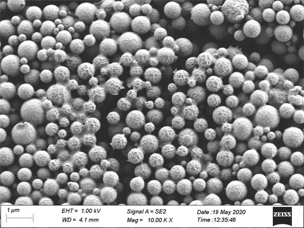 Degradable starch microsphere with rough surface structure, and preparation method thereof