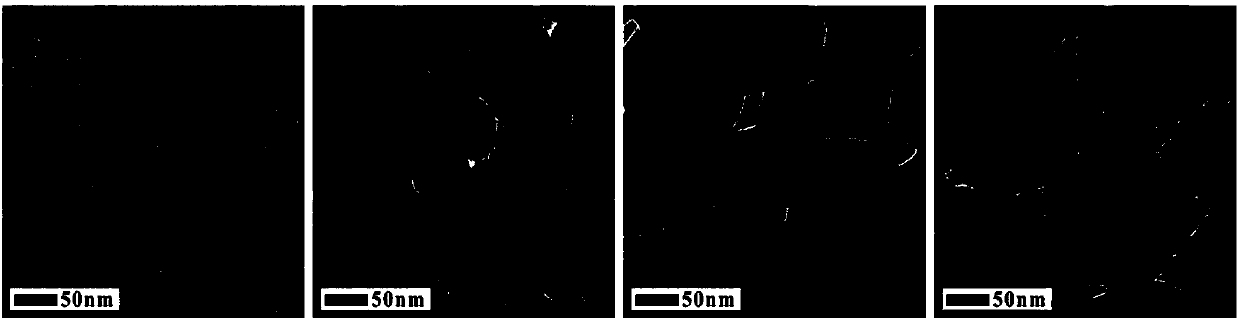 Method for preparing iron oxide particles having controllable morphology and size